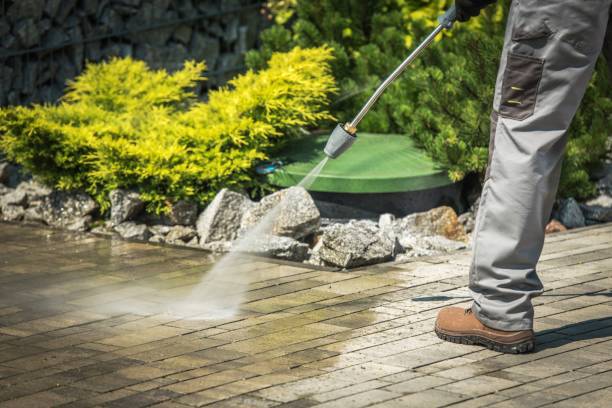 Best Roof Washing  in Springmont, PA