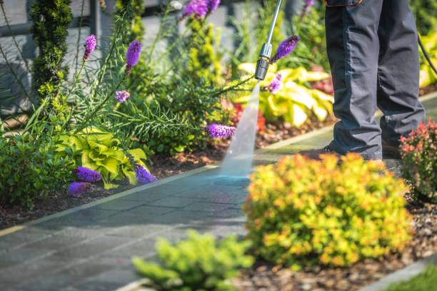 Best Sign and Awning Cleaning  in Springmont, PA